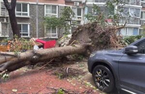 चीन के शंघाई में तूफान बेबिनका की दस्तक, फ्लाइट्स रद्द, रेलगाड़ी, स्कूल-कॉलेज बंद, तटीय क्षेत्र खाली कराया गया