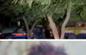 महिला थाने के पास आत्महत्या कर ली