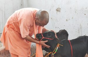 वाह ! पुंगनूर गाय ने जीत लिया योगी का मन