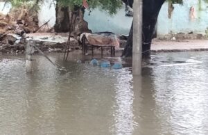 बाढ़ की चपेट में दर्जनों गांव, ग्रामीणों का रेस्क्यू जारी