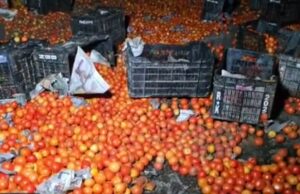 ट्रक पलटा,महिला समेत तीन