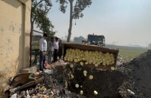मिलावटी मावा खिलाकर मार डालेंगे ये कसाई