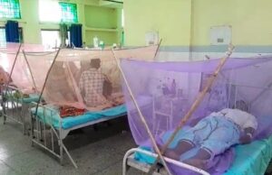 123 डेंगू के मरीज अस्पताल ने भर्ती