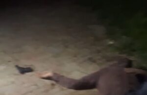 दाे मासूमाें समेत शिक्षक परिवार का हत्या