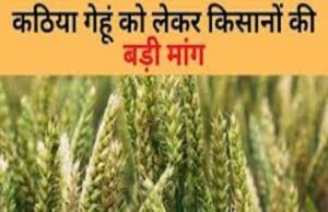 70 गांव के किसान बंगरा प्रोड्यूसर कम्पनी से जुड़े