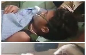 5 नक्सली ढेर,शव और हथियार बरामद