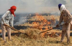 पराली जलाने वालों पर लगेगा दोगुना जुर्माना