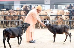 योगी ने की गोसेवा