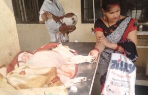 पशु चिकित्सालयों में बढ़ रहे प्रोस्टेट कैंसर के मरीज