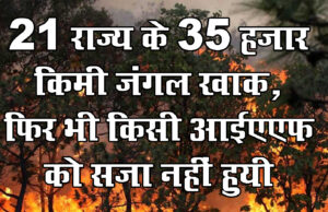 9 बड़े नेशनल पार्क जलकर खाक