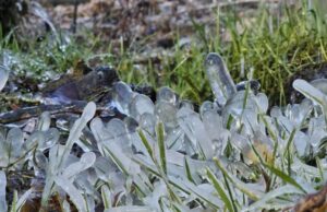 कश्मीर घाटी के कई हिस्सों में कड़ाके की ठंड,तापमान शून्य से नीचे दर्ज