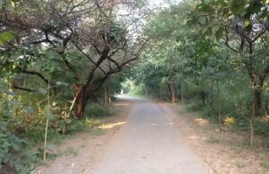 मुख्यमंत्री के निर्देश पर 48 घंटे में कार्रवाई, राज्य के सभी वन क्षेत्रों में प्रवेश शुल्क समाप्त