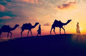 राजस्थान में चार दिन तेज सर्दी का अलर्ट, कई जिलों में जमीं ओस की बूंदें