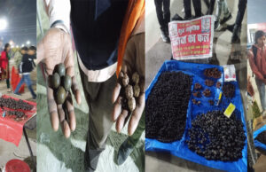 महाकुम्भ : 25 रुपये में ले जाइये 3000 हजार की कीमत वाला एकमुखी रूद्राक्ष