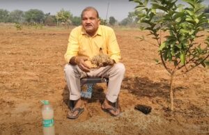 आजाद देश का गुलाम विभाग