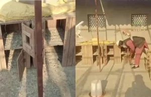 10 लाख के 400 कबूतर चुरा ले गए चोर
