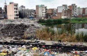 जलीय जीवों का घर, डंपिंग ग्राउंड किसने बना दिया?