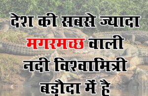 बड़ौदा कैसे बना मगरमच्छों का शहर