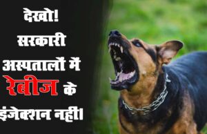 75 साला आजादी को भ्रष्टाचार ने काट खाया