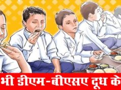 11 करोड़ की थाली खा गए सरकारी चोर