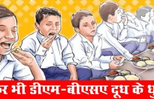 11 करोड़ की थाली खा गए सरकारी चोर