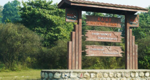 राजाजी पार्क के पास बना एलिवेटेड